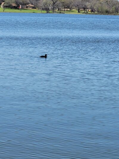 Alvarado Lake Park - Alvarado, TX