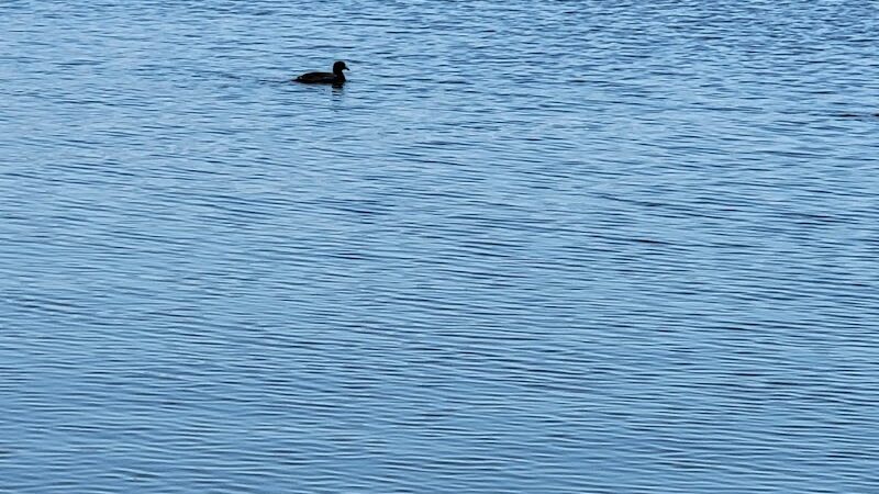 Alvarado Lake Park - Alvarado, TX