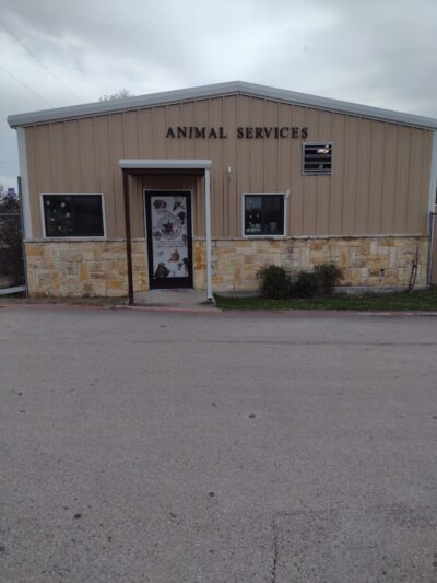 City of Alvarado's Animal Control - Alvarado, TX