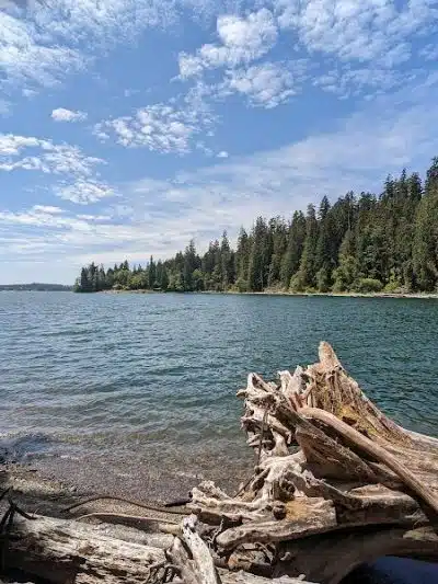 July Creek Picnic Area Trailhead - Amanda Park, WA