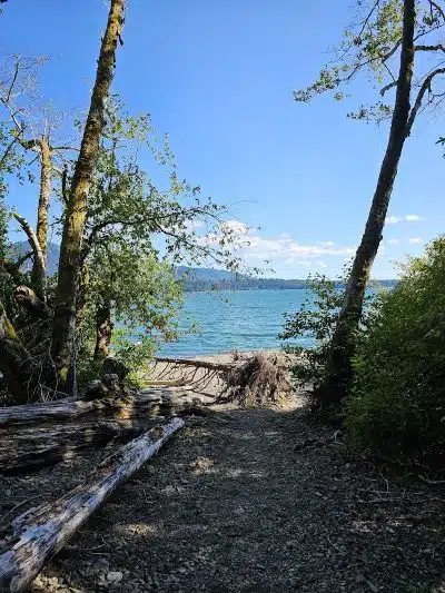 July Creek Picnic Area Trailhead - Amanda Park, WA