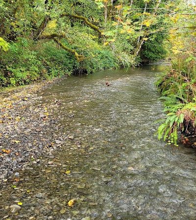 July Creek Picnic Area Trailhead - Amanda Park, WA