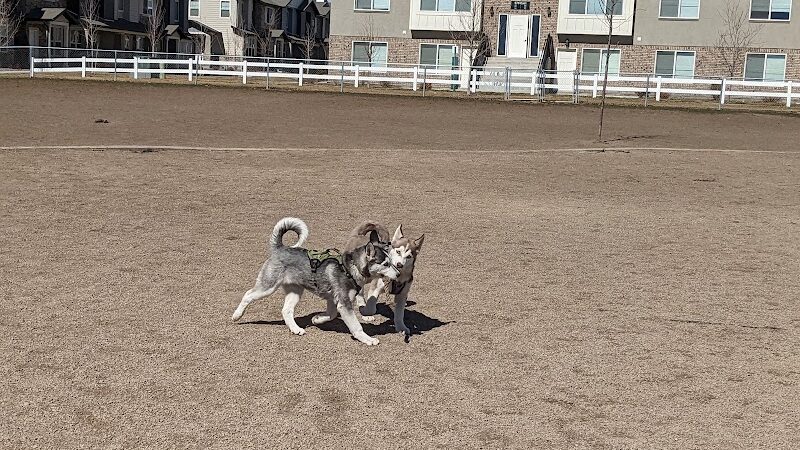 American Fork Dog Park - American Fork, UT
