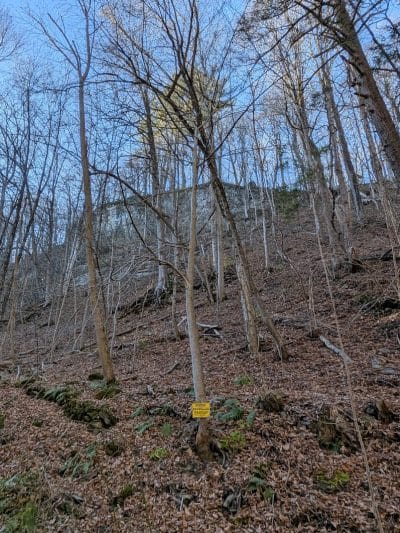 Wolf Hollow Preserve trailhead parking - Amsterdam, NY
