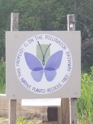 Kinney Road Open Space