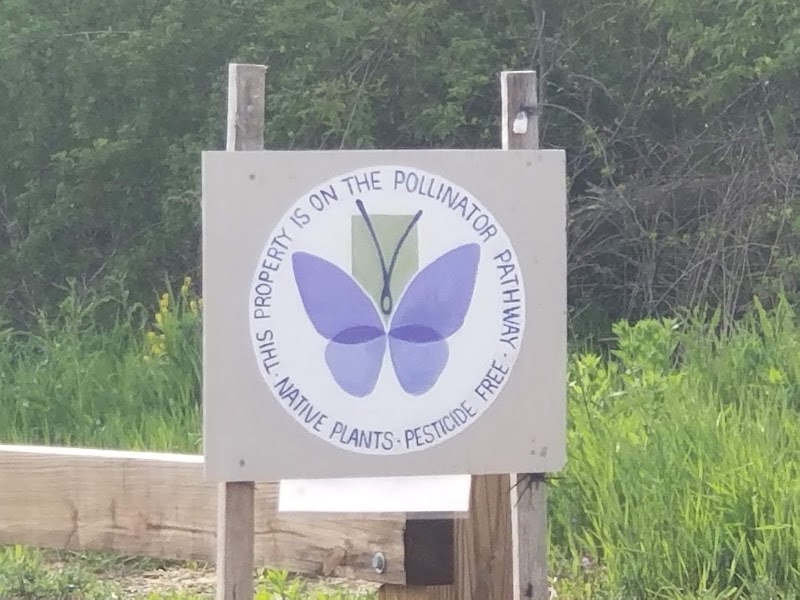 Kinney Road Open Space - Amston, CT