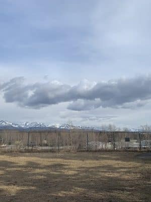 Birch Water Dog Park
