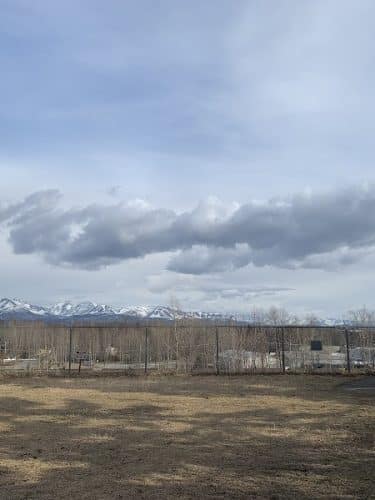 Birch Water Dog Park