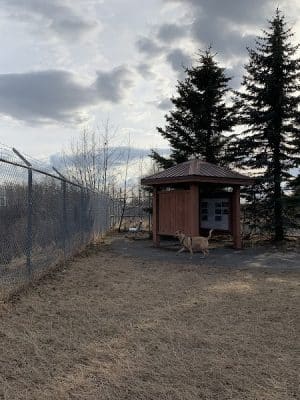 Birch Water Dog Park