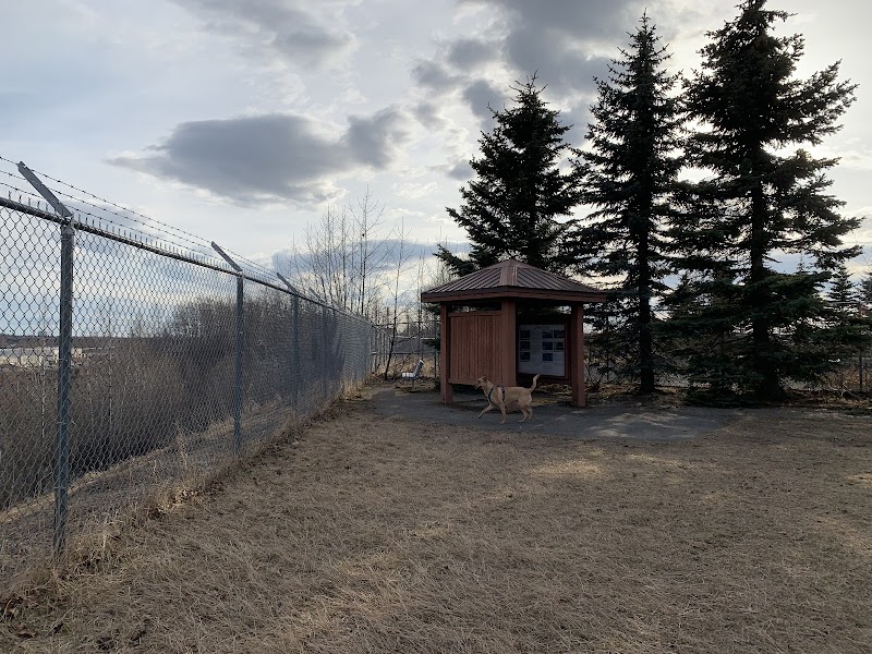 Birch Water Dog Park - Anchorage, AK