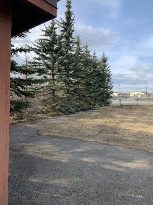 Birch Water Dog Park