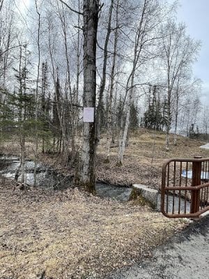 Chanshtnu Muldoon Dog Park