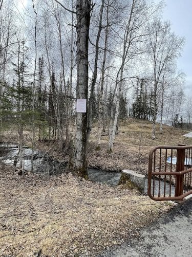 Chanshtnu Muldoon Dog Park