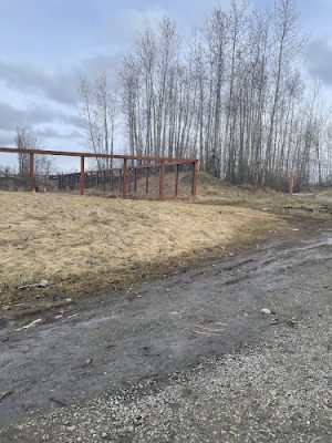 Chanshtnu Muldoon Dog Park