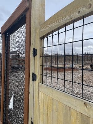 Chanshtnu Muldoon Dog Park