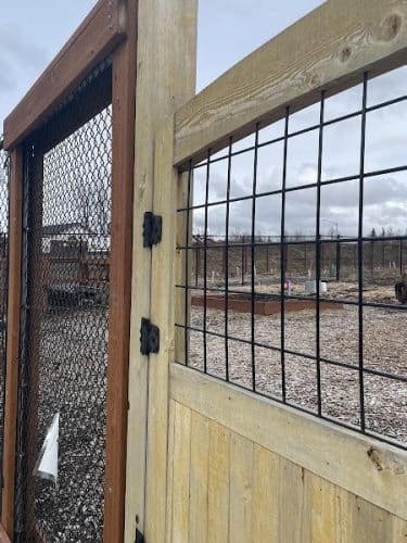 Chanshtnu Muldoon Dog Park