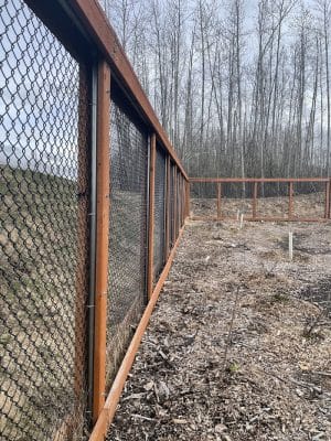 Chanshtnu Muldoon Dog Park