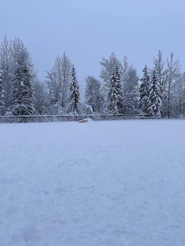 Chanshtnu Muldoon Dog Park