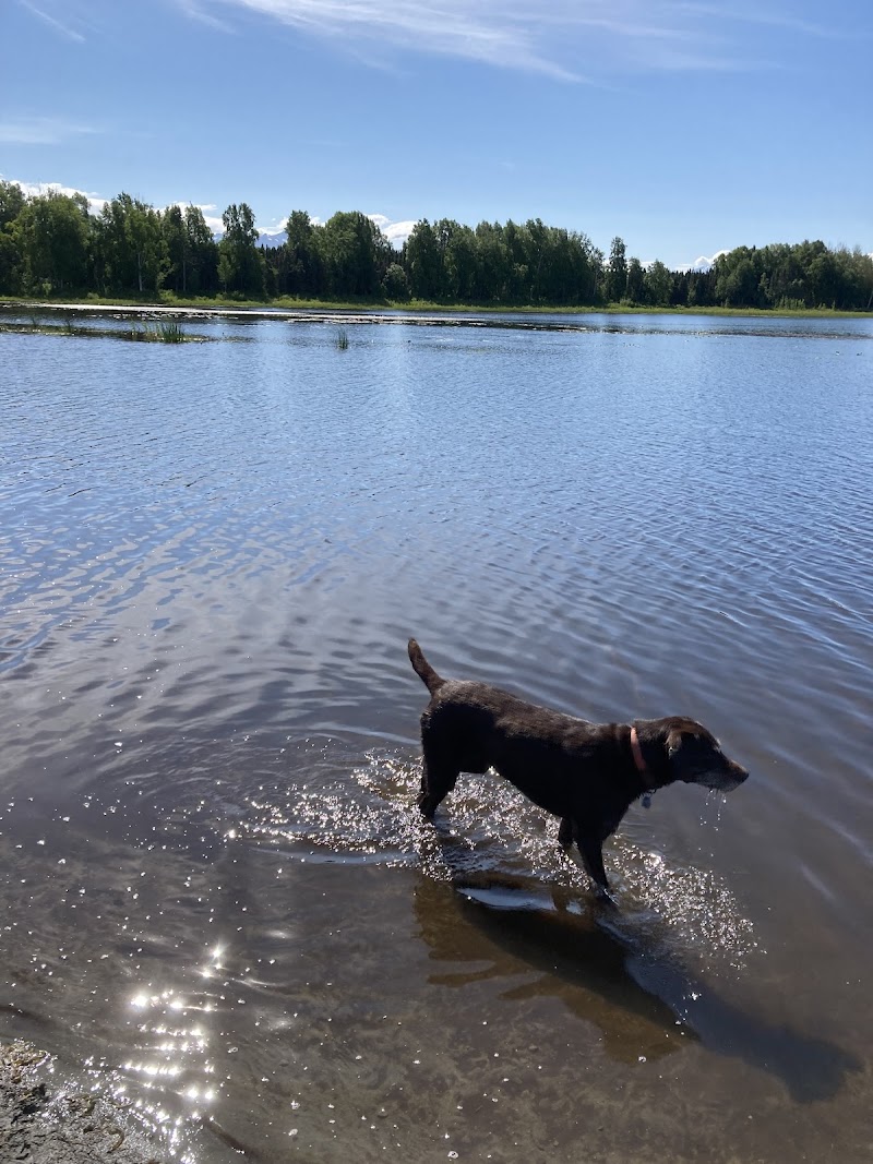 Connors Bog Dog Park - Anchorage, AK