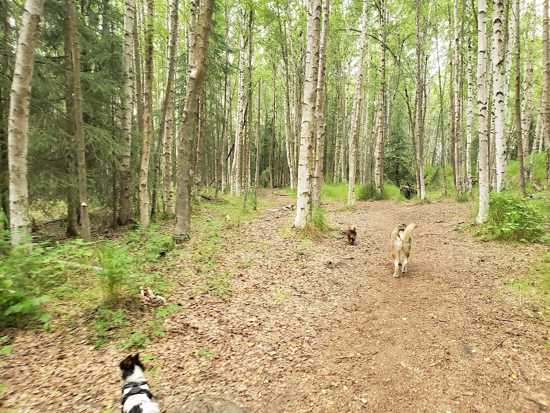 Connors Bog Dog Park - Anchorage, AK