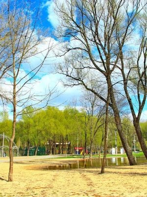 Connors Bog Dog Park
