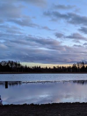 Connors Bog Park