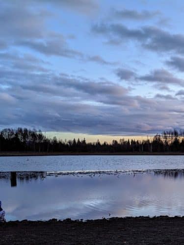 Connors Bog Park
