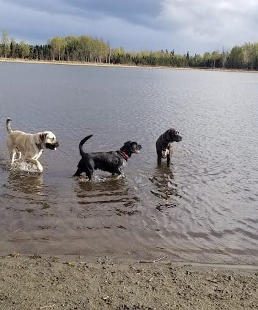 Connors Bog Park