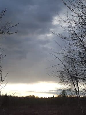 Connors Bog Park