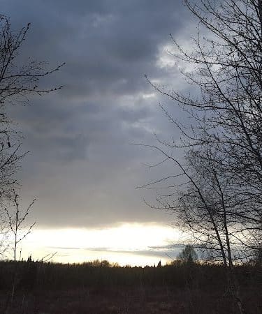 Connors Bog Park
