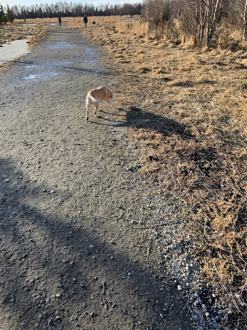 South Anchorage Dog Park - Anchorage, AK