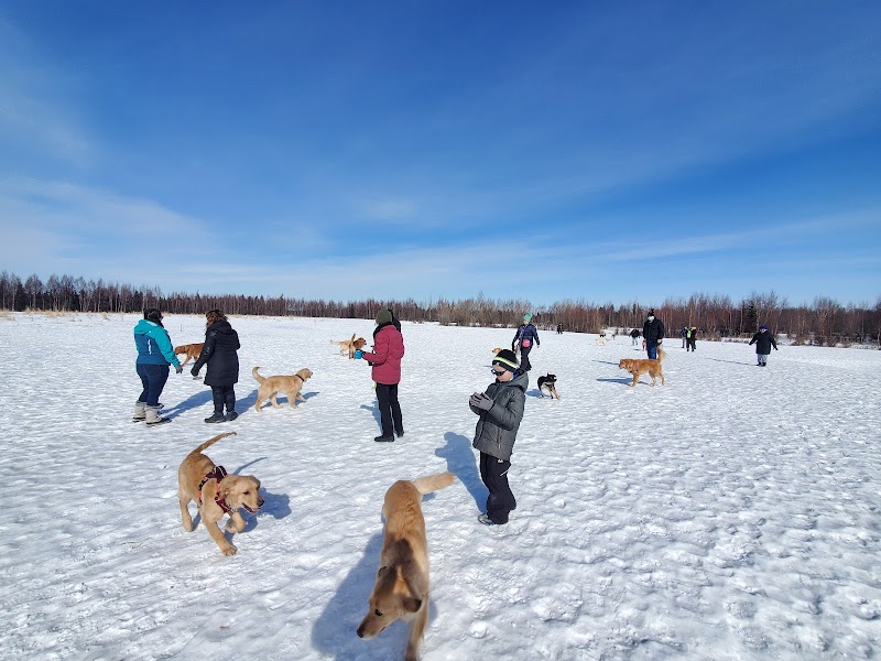 South Anchorage Dog Park - Anchorage, AK