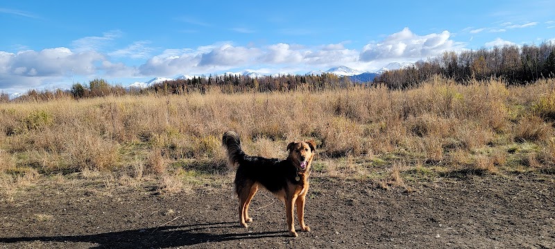 South Anchorage Dog Park - Anchorage, AK