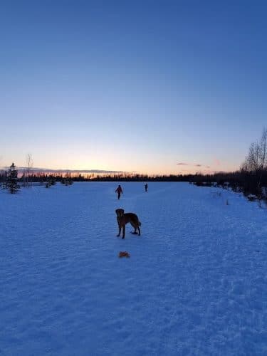 South Anchorage Dog Park