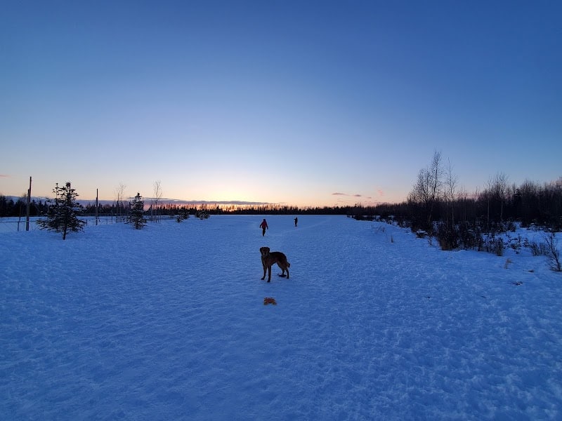 South Anchorage Dog Park - Anchorage, AK