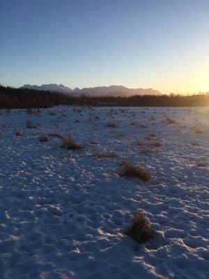 South Anchorage Dog Park