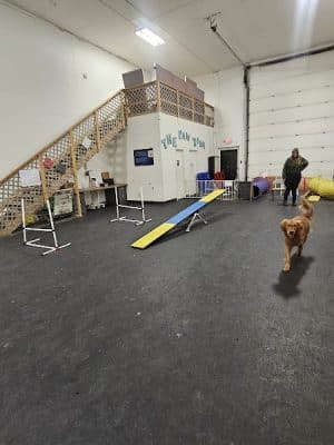 The Paw Room