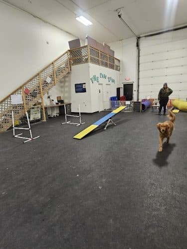 The Paw Room