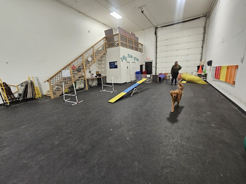 The Paw Room - Anchorage, AK