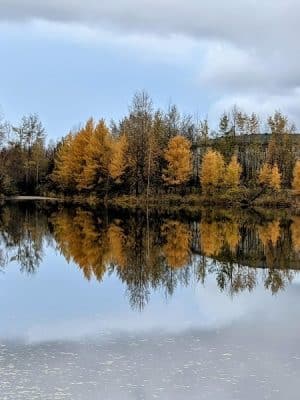University Lake Park