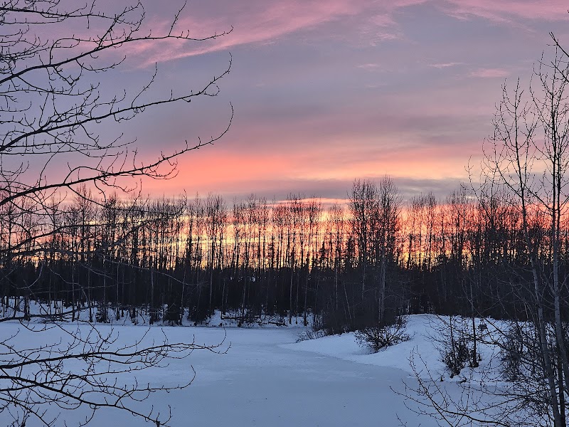 University Lake Park - Anchorage, AK