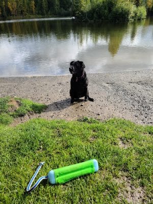University Lake Park