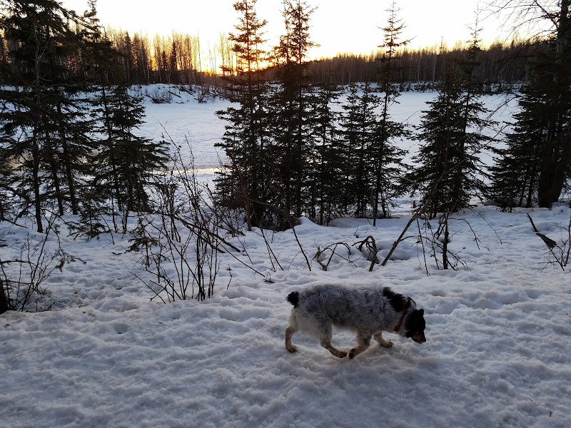 University Lake Park - Anchorage, AK