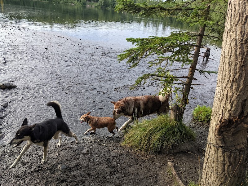 University Lake Park - Anchorage, AK