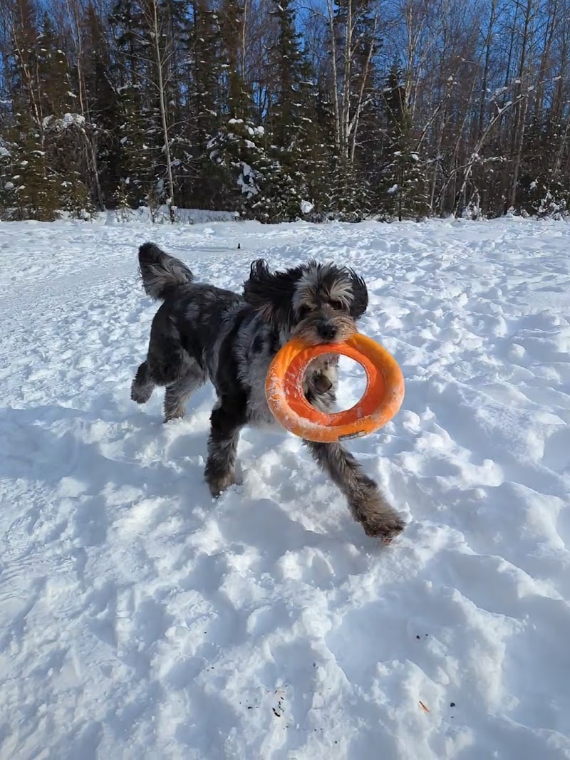 University Lake Park - Anchorage, AK
