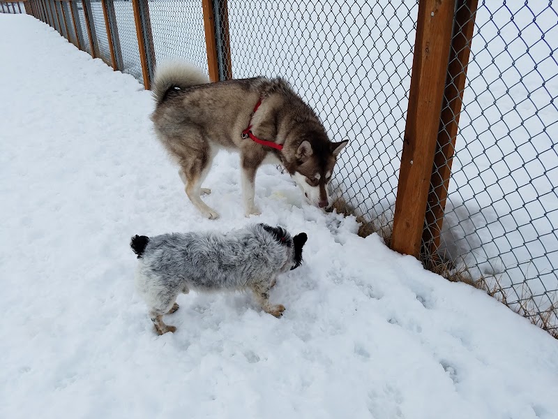 University Lake Park - Anchorage, AK