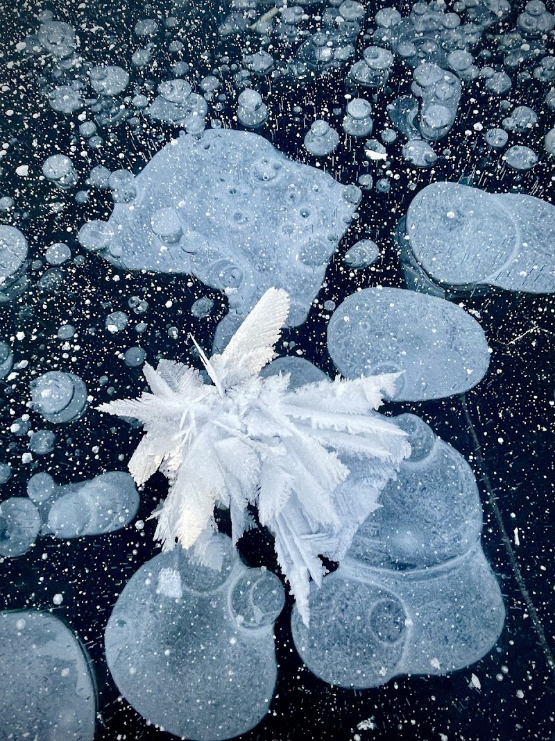 University Lake Park - Anchorage, AK