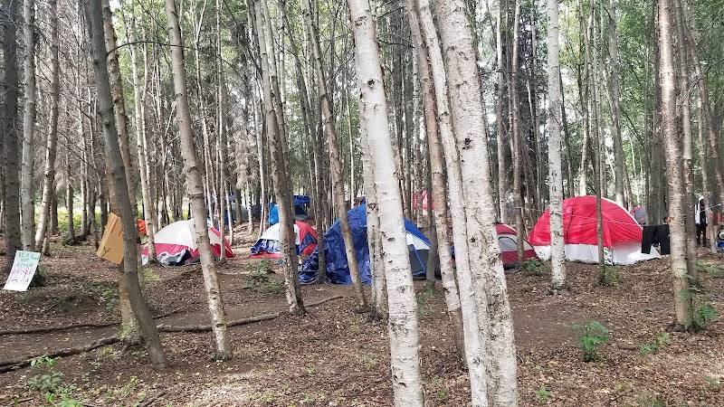 Valley of the Moon Dog Park - Anchorage, AK