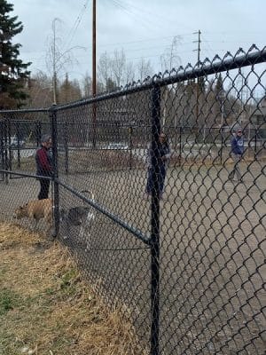 Valley of the Moon Dog Park