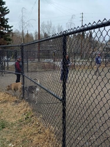 Valley of the Moon Dog Park